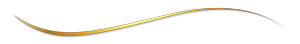 Image module